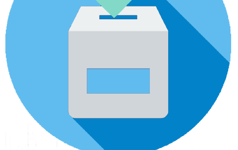 Electoral Process_icon